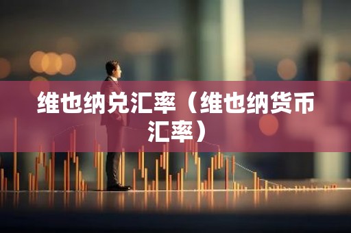 维也纳兑汇率（维也纳货币汇率）