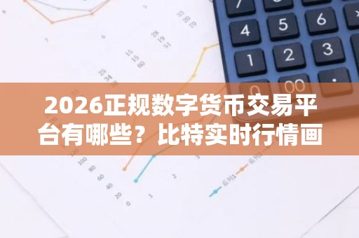 2026正规数字货币交易平台有哪些？比特实时行情画图软件