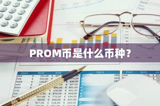 PROM币是什么币种？