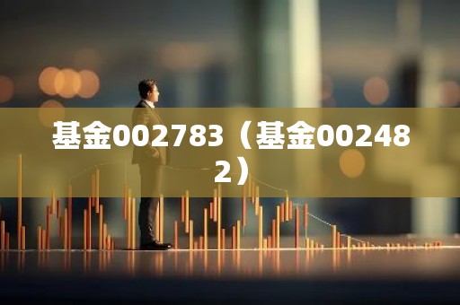 基金002783（基金002482）