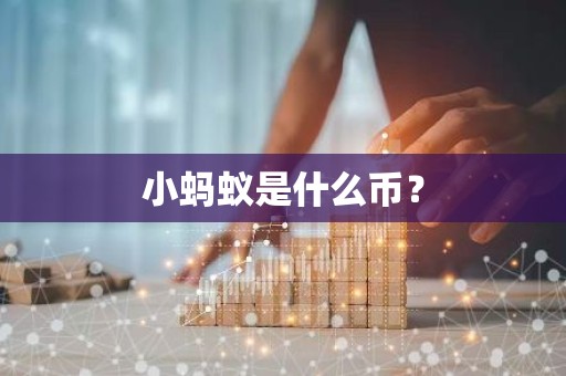 小蚂蚁是什么币？