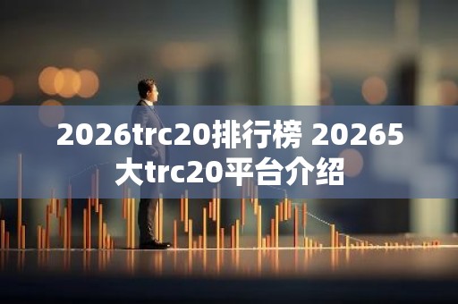 2026trc20排行榜 20265大trc20平台介绍