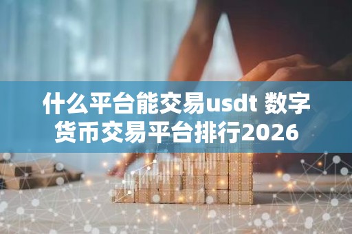 什么平台能交易usdt 数字货币交易平台排行2026