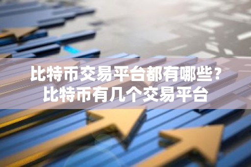 比特币交易平台都有哪些？比特币有几个交易平台