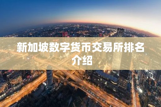 新加坡数字货币交易所排名 介绍
