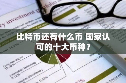 比特币还有什么币 国家认可的十大币种？
