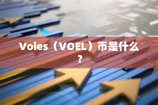 Voies（VOEL）币是什么？