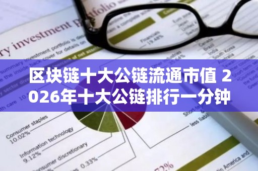 区块链十大公链流通市值 2026年十大公链排行一分钟了解公链