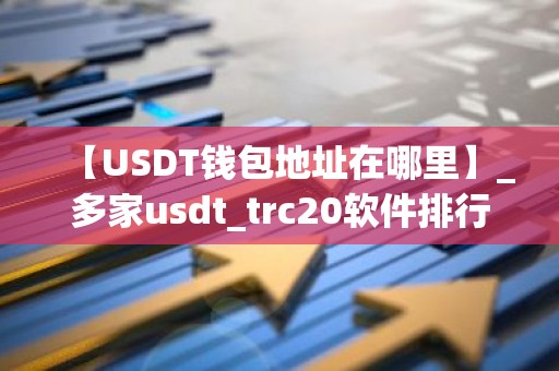 【USDT钱包地址在哪里】_多家usdt_trc20软件排行榜