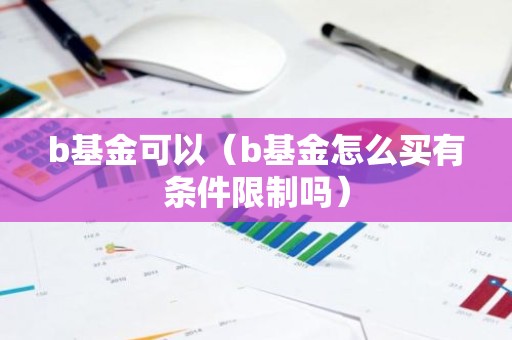 b基金可以（b基金怎么买有条件限制吗）