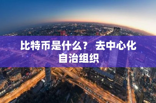 比特币是什么？ 去中心化自治组织