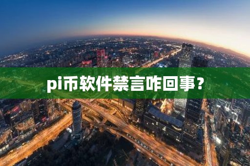 pi币软件禁言咋回事？