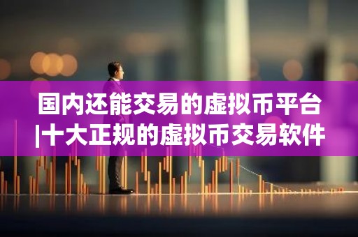 国内还能交易的虚拟币平台|十大正规的虚拟币交易软件