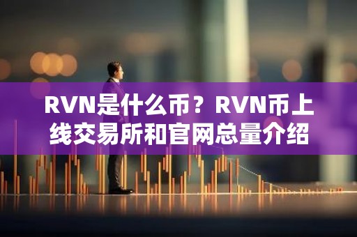 RVN是什么币？RVN币上线交易所和官网总量介绍