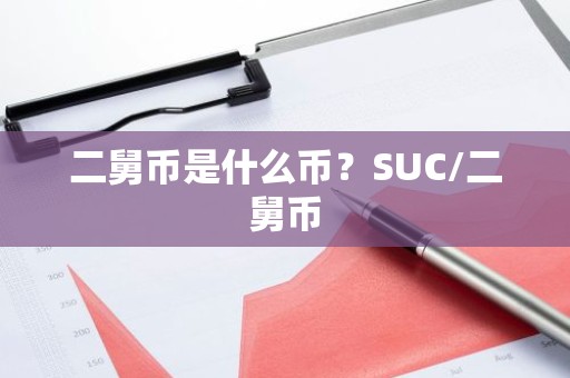 二舅币是什么币？SUC/二舅币