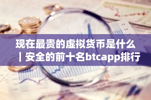 现在最贵的虚拟货币是什么｜安全的前十名btcapp排行榜