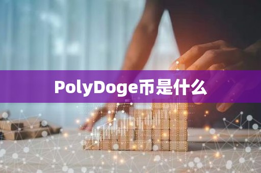 PolyDoge币是什么