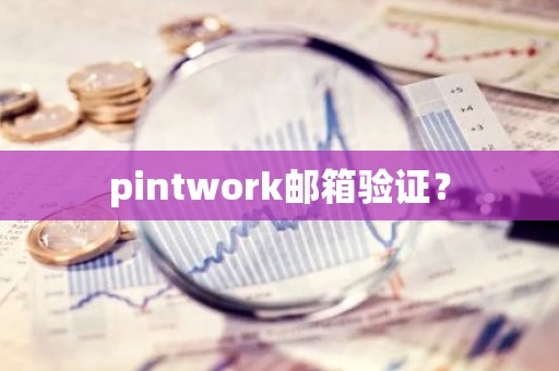pintwork邮箱验证？