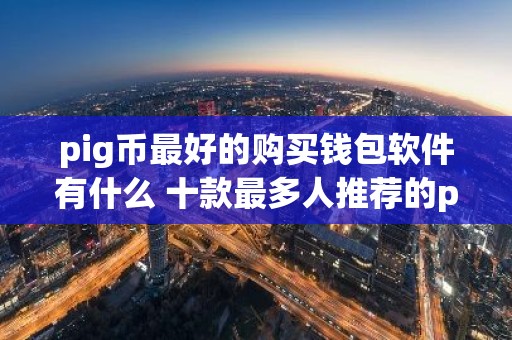pig币最好的购买钱包软件有什么 十款最多人推荐的pig钱包软件排行榜