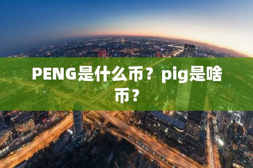PENG是什么币？pig是啥币？