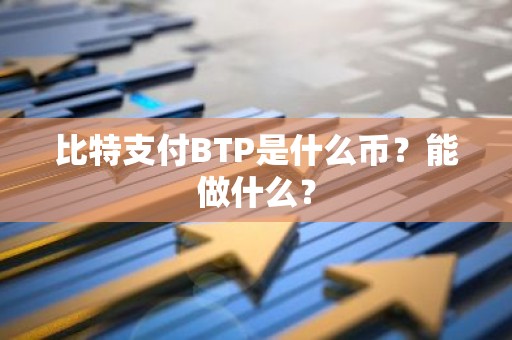 比特支付BTP是什么币？能做什么？