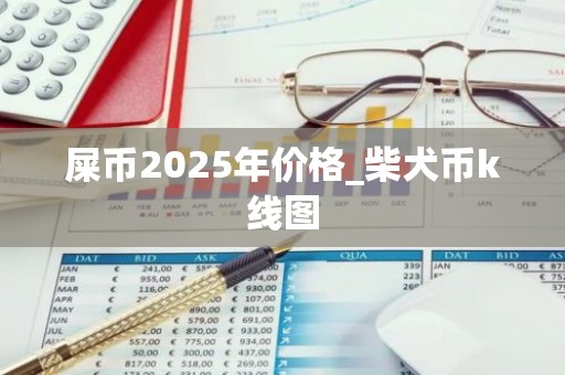 屎币2025年价格_柴犬币k线图