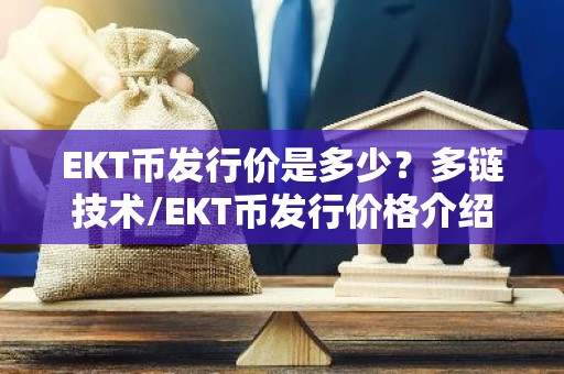 EKT币发行价是多少？多链技术/EKT币发行价格介绍