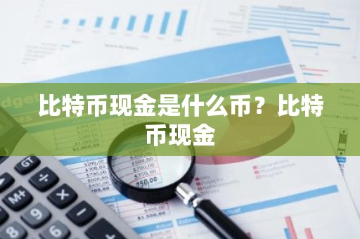 比特币现金是什么币？比特币现金