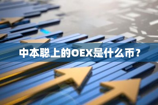 中本聪上的OEX是什么币？