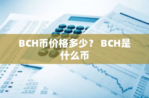 BCH币价格多少？ BCH是什么币