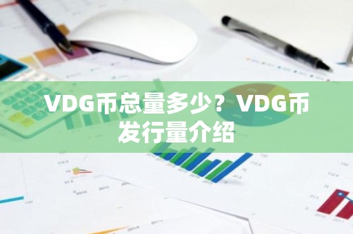 VDG币总量多少？VDG币发行量介绍