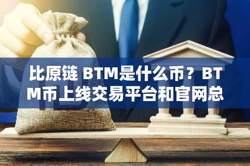 比原链 BTM是什么币？BTM币上线交易平台和官网总量介绍