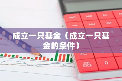 成立一只基金（成立一只基金的条件）