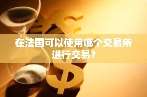 在法国可以使用哪个交易所进行交易？
