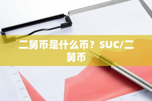 二舅币是什么币？SUC/二舅币