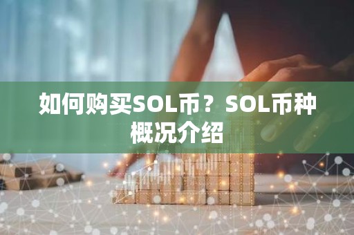 如何购买SOL币？SOL币种概况介绍