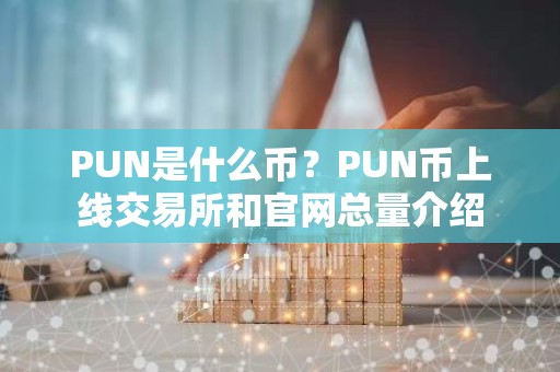 PUN是什么币？PUN币上线交易所和官网总量介绍