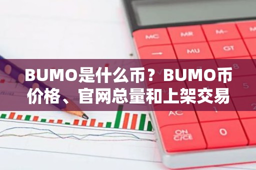 BUMO是什么币？BUMO币价格、官网总量和上架交易所介绍