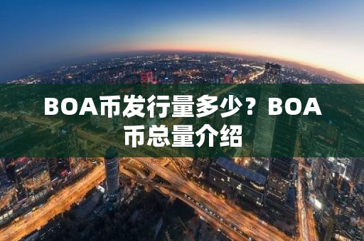 BOA币发行量多少？BOA币总量介绍