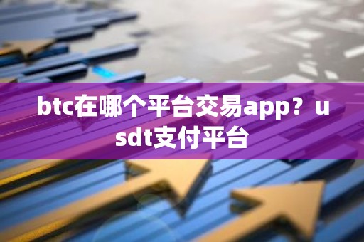 btc在哪个平台交易app？usdt支付平台