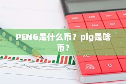 PENG是什么币？pig是啥币？
