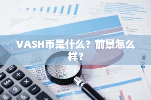 VASH币是什么？前景怎么样？