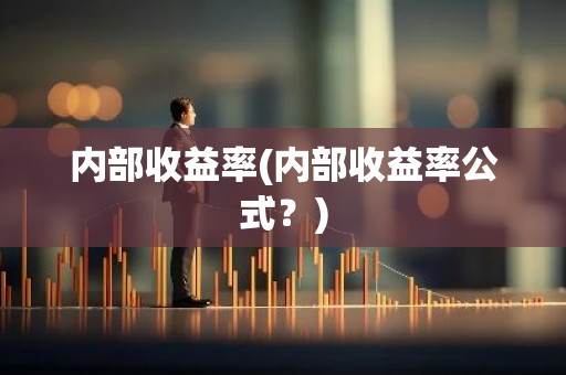 内部收益率(内部收益率公式？)