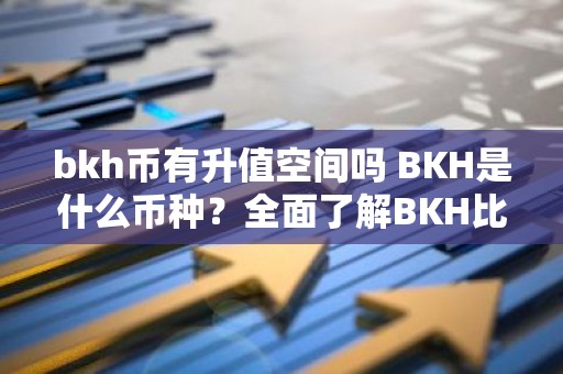 bkh币有升值空间吗 BKH是什么币种？全面了解BKH比奇现金