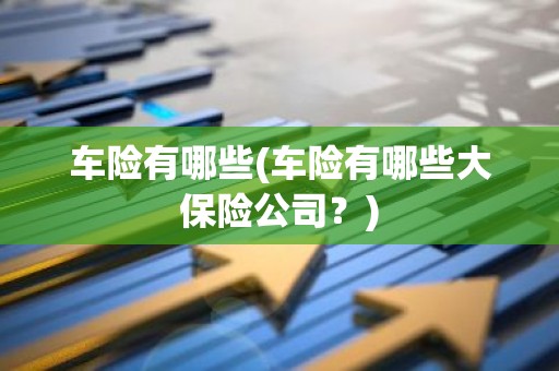 车险有哪些(车险有哪些大保险公司？)