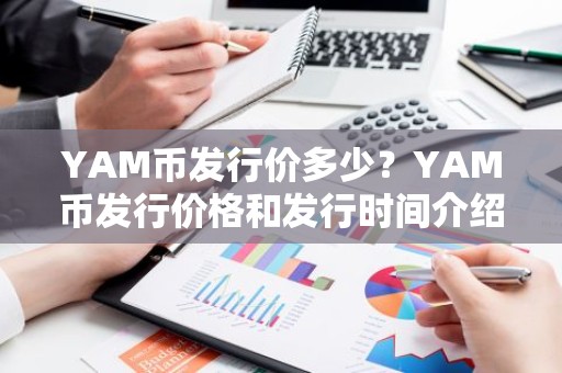 YAM币发行价多少？YAM币发行价格和发行时间介绍