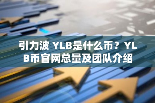 引力波 YLB是什么币？YLB币官网总量及团队介绍