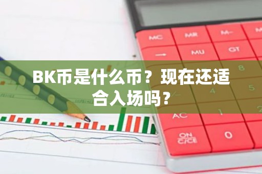 BK币是什么币？现在还适合入场吗？