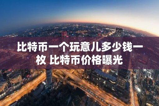 比特币一个玩意儿多少钱一枚 比特币价格曝光