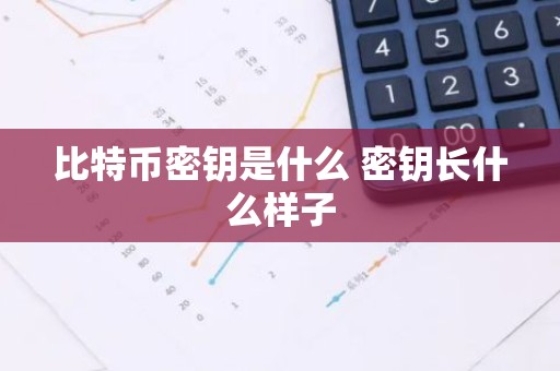 比特币密钥是什么 密钥长什么样子